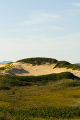 Fototapeta na wymiar Dunes at Santinho beach, Florianopolis, Brazil