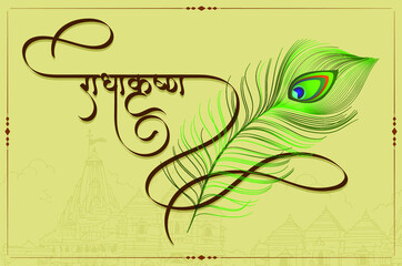 Radhe Krishna Indian Hindu God Name Calligraphy and Peacock Feather and Temple Background