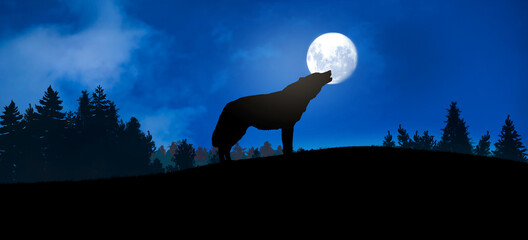 silhouette of a lone wolf in the woods howling at the full moon.