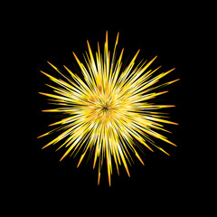 Star burst, explosion, Fiery sparks, Firework effect, sun blast vector design