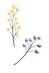 flowers on white background