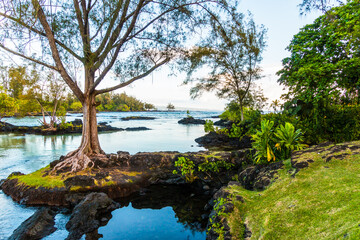 Lagoon and Lava Rock Shoreline, Carlsmith Beach Park, Hilo, Hawaii Island, Hawaii, USA