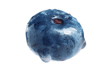 blueberry isolate. ripe big blueberry on white background