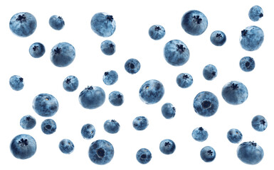 a lot of ripe blueberries on a white background