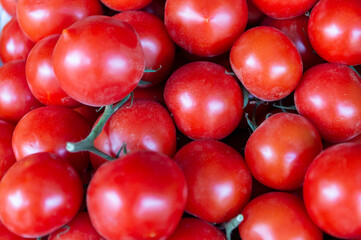 Fresh red tomatoes on a green sprig are sold at the market. Harvest tomatoes in spring and summer. Background texture. Organic, ripe and juicy vegetables, product image.