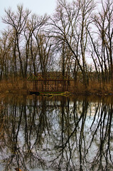 Fototapeta na wymiar Abandoned ruins skeleton of barge near the shore of lake. Bare trees in the background. Trees reflected in tranquil water. Concept of landscape and nature