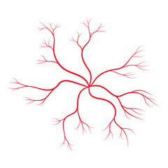 Human red veins, vessel, capillaries, arteries, eye vein. Blood system. Concept anatomy element for medical science. Vector illustration