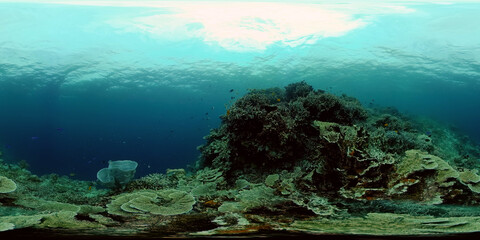 Plakat Colourful tropical coral reef. Hard and soft corals, underwater landscape. Philippines. Virtual Reality 360.