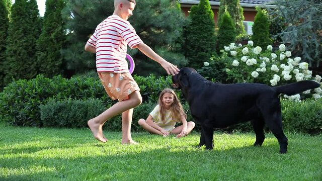long haired young girl and hipster teen boy in stripped summer shirtsplaying on green grass with black Labrador retriever. 