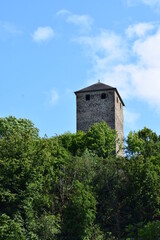 Burg Treis