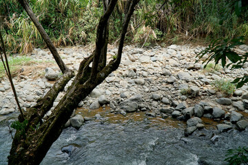 Cali, Colombia; August 07 2021: People enjoy visiting the zoo of Cali, with a lot of birds, tigers,...