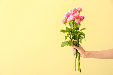 Female hand with beautiful peony roses on color background