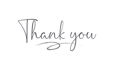 Thank you lettering. Handwritten style calligraphy. Hand drawn vector illustration. Thanks.