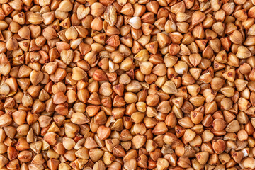 buckwheat. fresh buckwheat. dry buckwheat background. buckwheat texture