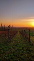 Fototapeta na wymiar A Beautiful Winter Sunset in the Dordogne Region of France