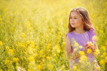 Naklejka na ściany i meble Cute little girl with a apple in a blooming canola field.