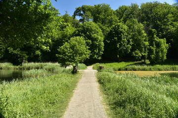 Fototapeta na wymiar Chemin traversant les prairies vers un bois près de l'abbaye du Rouge-Cloître en forêt de Soignes à Auderghem 