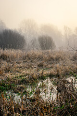 Foggy Sunrise at Canal in Ireland