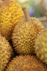 durian fruit