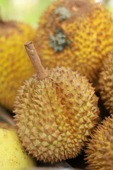 durian fruit