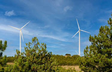 Modern windmills installed on hills in the countryside amidst vegetation.