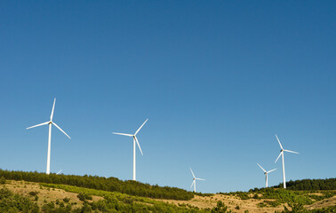 Fototapeta premium Modern windmills on top of a hill with blue sky and copy space at the top of the image.