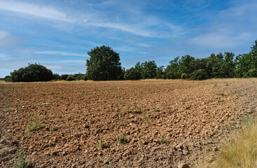 Fototapeta na wymiar View of a field of land ready to be plowed and cultivated in the Castilla area, in Spain.