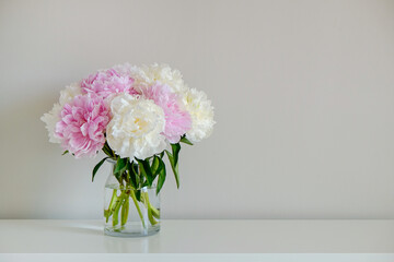 Studio shot of beautiful peony flowers in glass vase on a table over gray wall background with a lot of copy space for text. Feminine floral composition. Close up, backdrop.
