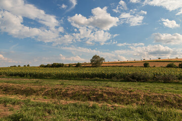Fototapeta na wymiar Beautiful landscape near Strazovice in the Czech Republic. Harvested grain in the field. Blue sky and clouds.