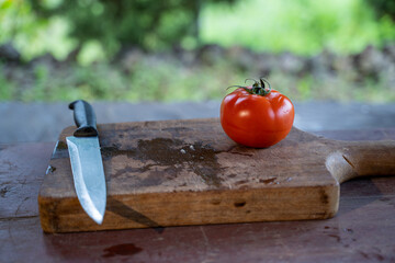 Mujer cocinando al aire libre, comida vegetariana 