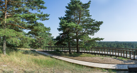 Wooden observation platform in Curonian Spit. Thin, curved sand-dune peninsula that separates the Curonian Lagoon from the Baltic Sea coast. Wooden duckboards. Warm summer day. Panoramic view.