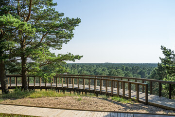 Wooden observation platform in Curonian Spit. Thin, curved sand-dune peninsula that separates the Curonian Lagoon from the Baltic Sea coast. Wooden duckboards. Warm summer day. Panoramic view.