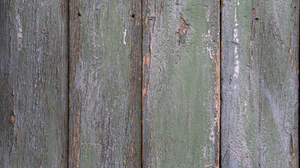 texture old tree. wood surface. old wood planks background