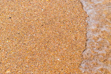 Beach horizontal background: fine golden shell rock and wave