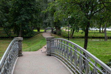 A pedestrian made of metal and stone bridge in a green summer park is surrounded by lush trees. There is a small pond under the bridge, the banks are overgrown with grass, reeds and water lilies.