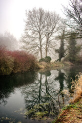 Foggy Sunrise at Canal in Ireland