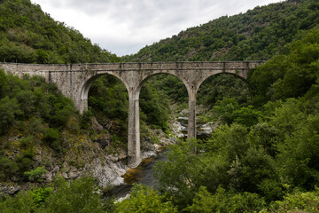 Fototapeta na wymiar view on an aqueduct during the visit with the ardeche train