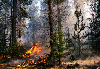 Forest brigade members fight a fire in Argentine Patagonia.