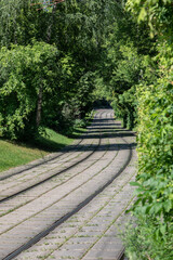 The tram rails blurs in the distance. Endless curved railway on concrete slabs with sprouted grass. Green arch of trees closes over the railroad. Railway disappears into the distance