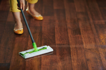 Modern woman in sunny day doing housekeeping
