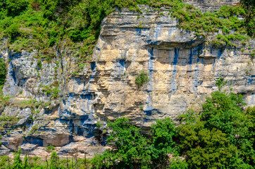 Fototapeta na wymiar gray-brown mountain cliffs close-up in summer among green plants