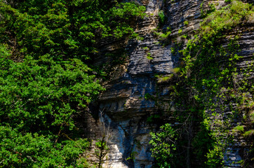 gray-brown mountain cliffs close-up in summer among green plants