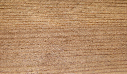 texture of natural wood light brown close up