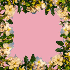 Frame of flowers on a pink background