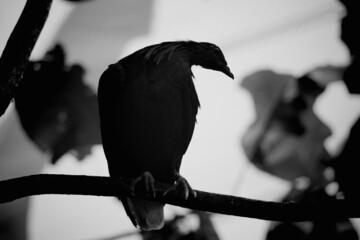 Parc des oiseaux © Michael Aubigny