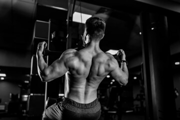 Fototapeta na wymiar Bodybuilder athlete working out in gym. Strong handsome man training his back.