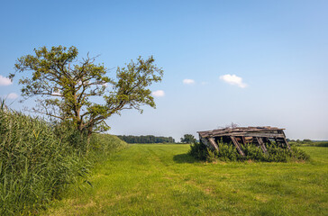 Dilapidated wooden shed in the grass. The photo was taken on a sunny summer day in the Dutch...