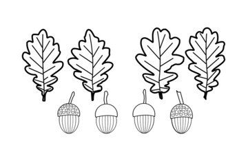 Oak, leaves and acorns with black outline on a white background for childrens creativity, design and printing on paper