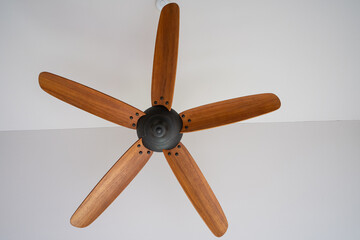 five bladed ceiling fan hangs overhead from your ceiling