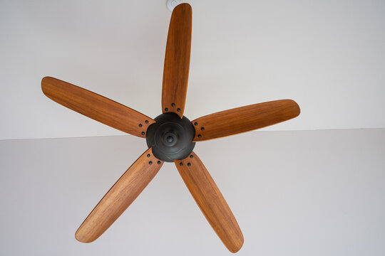 Ceiling Fan Blade Images Browse 2 383